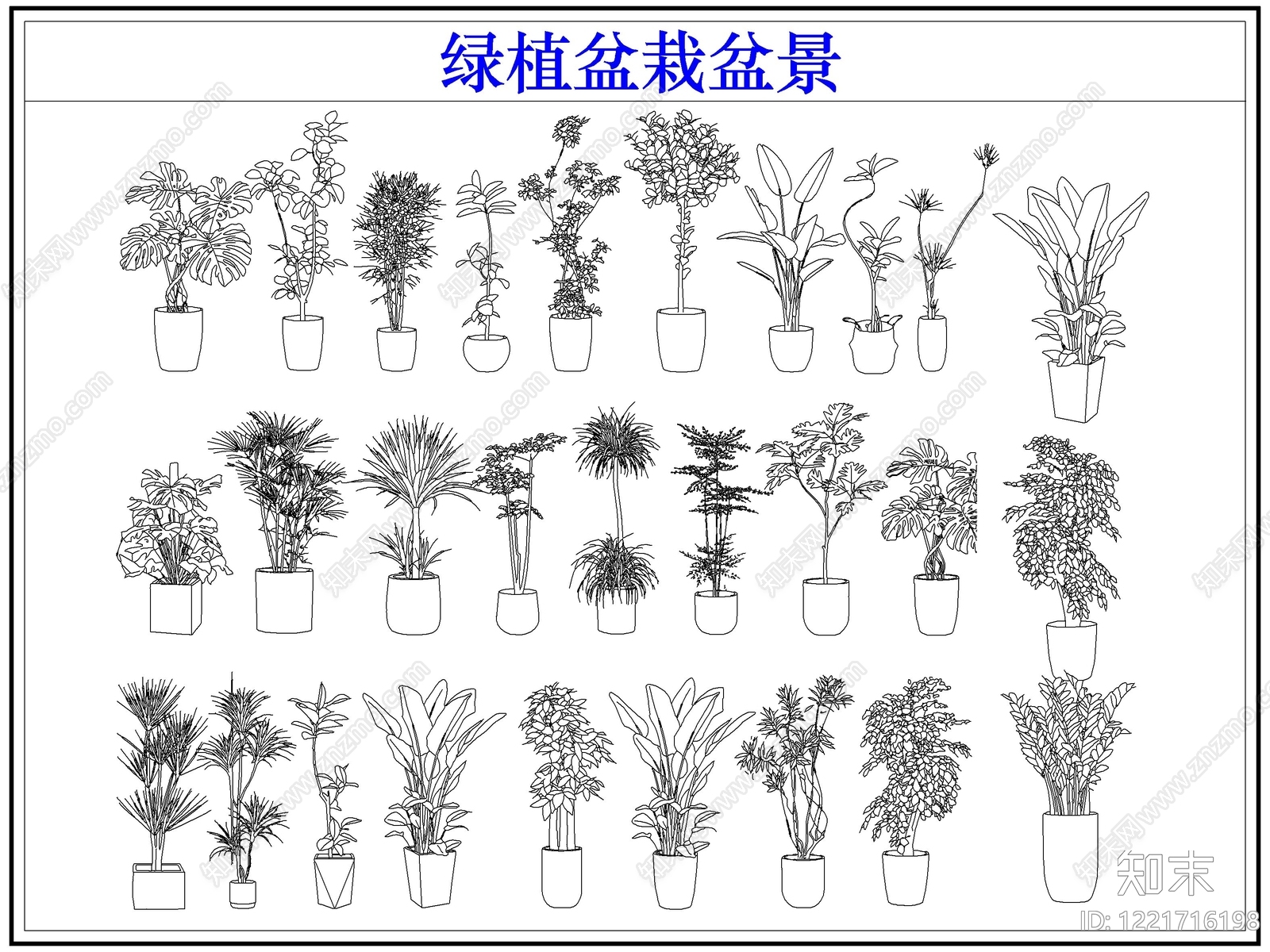 绿植cad施工图下载【ID:1221716198】