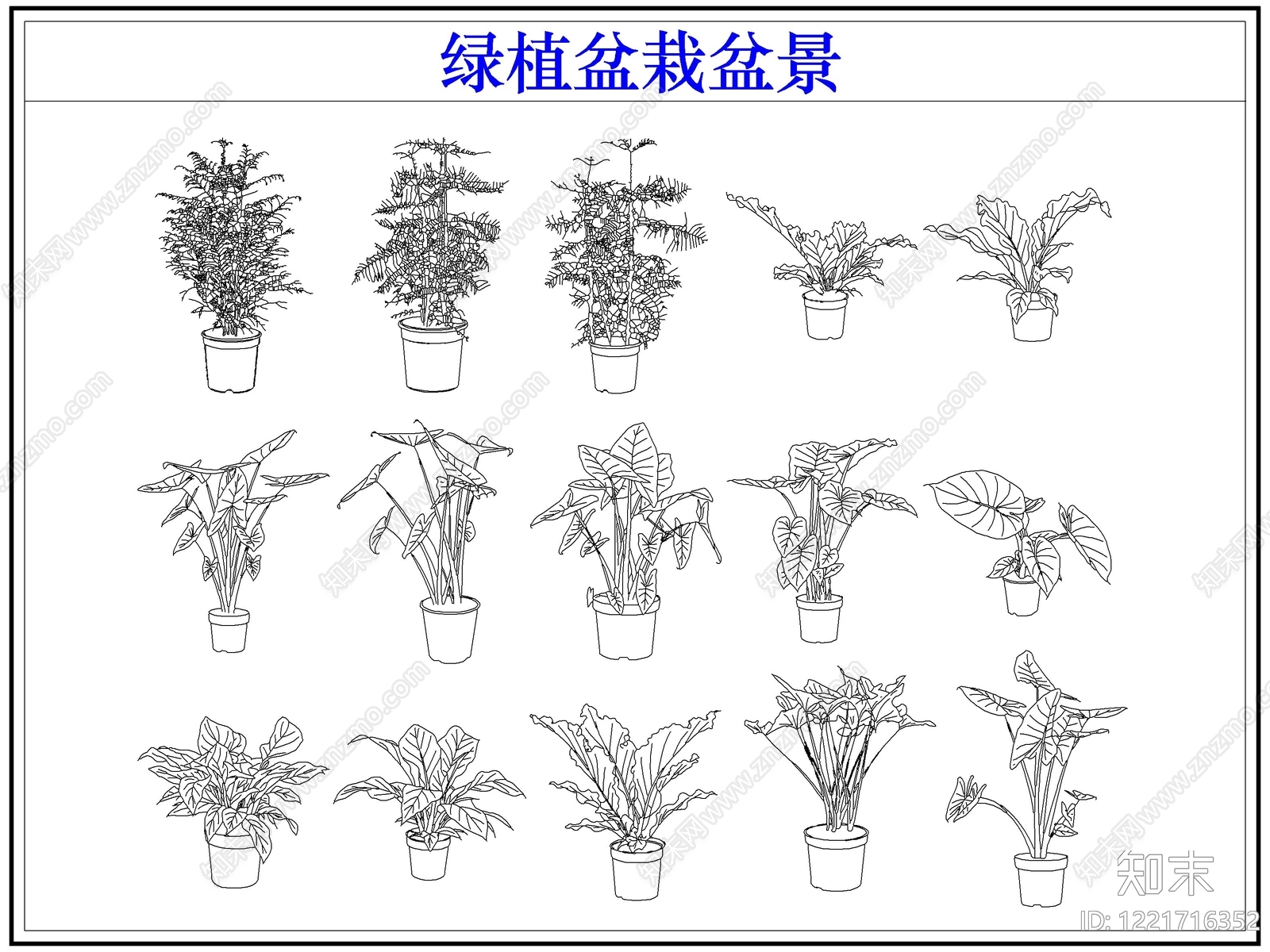 绿植cad施工图下载【ID:1221716352】