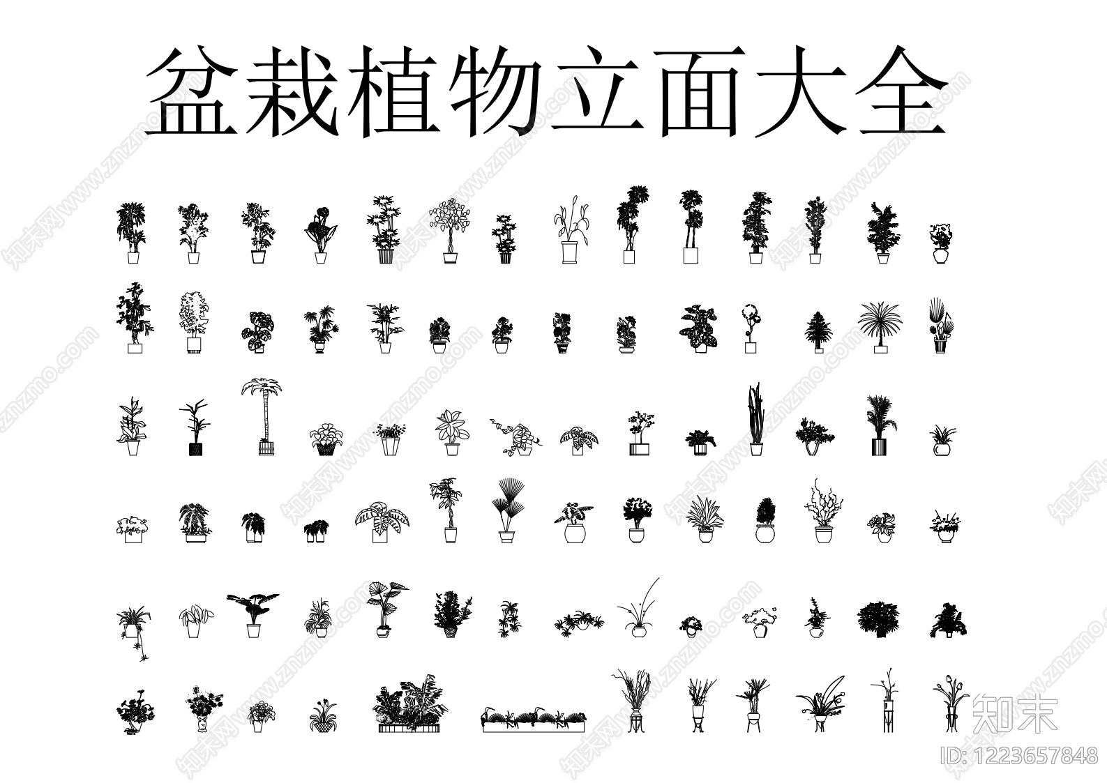 绿植CAD图纸