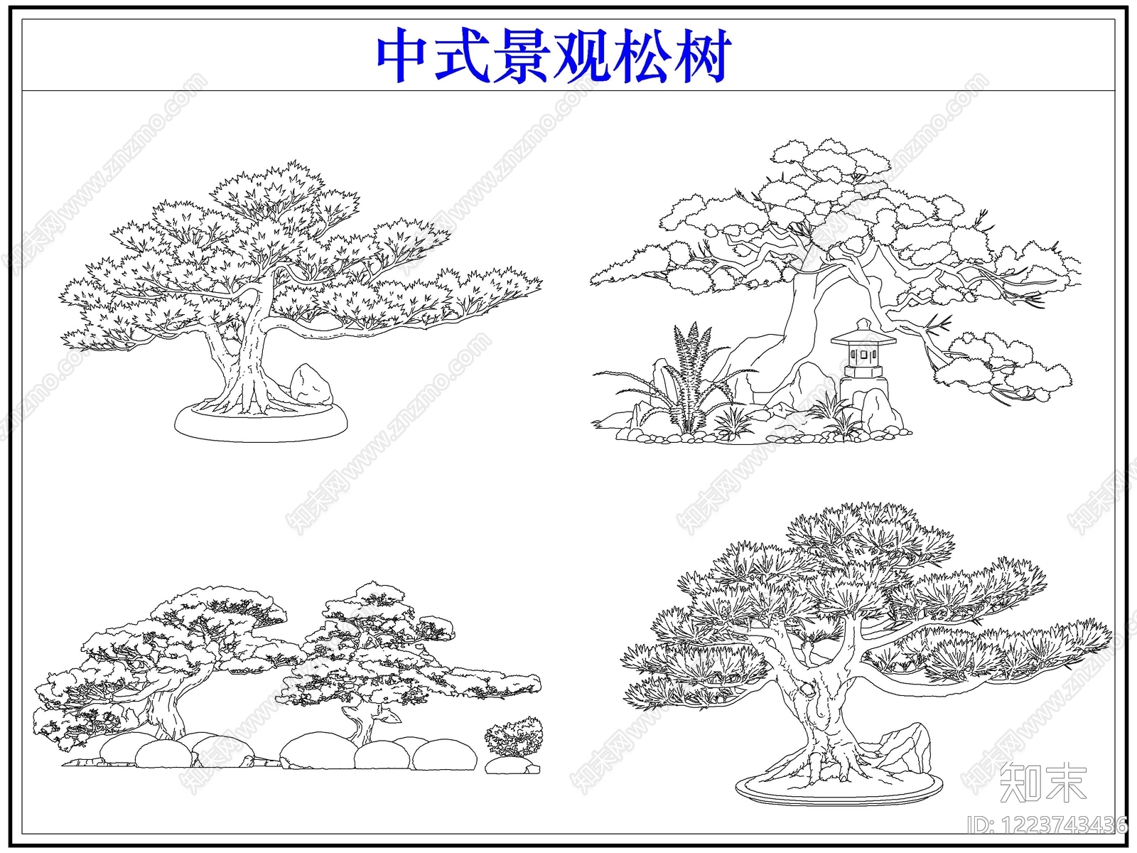 中式乔木种植CAD图纸