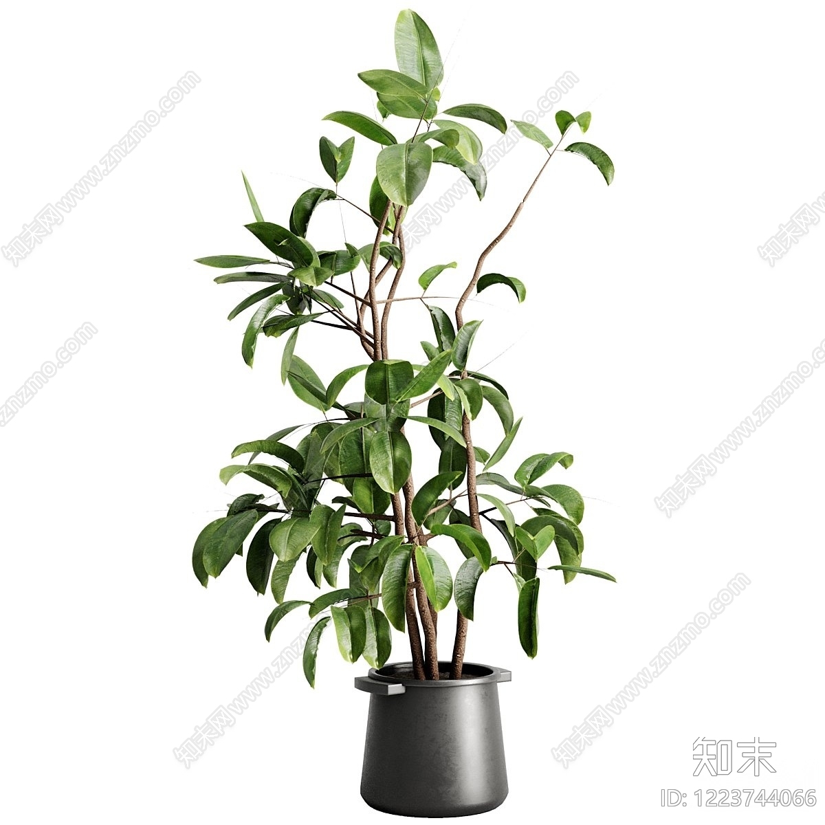 极简盆景3D模型下载【ID:1223744066】