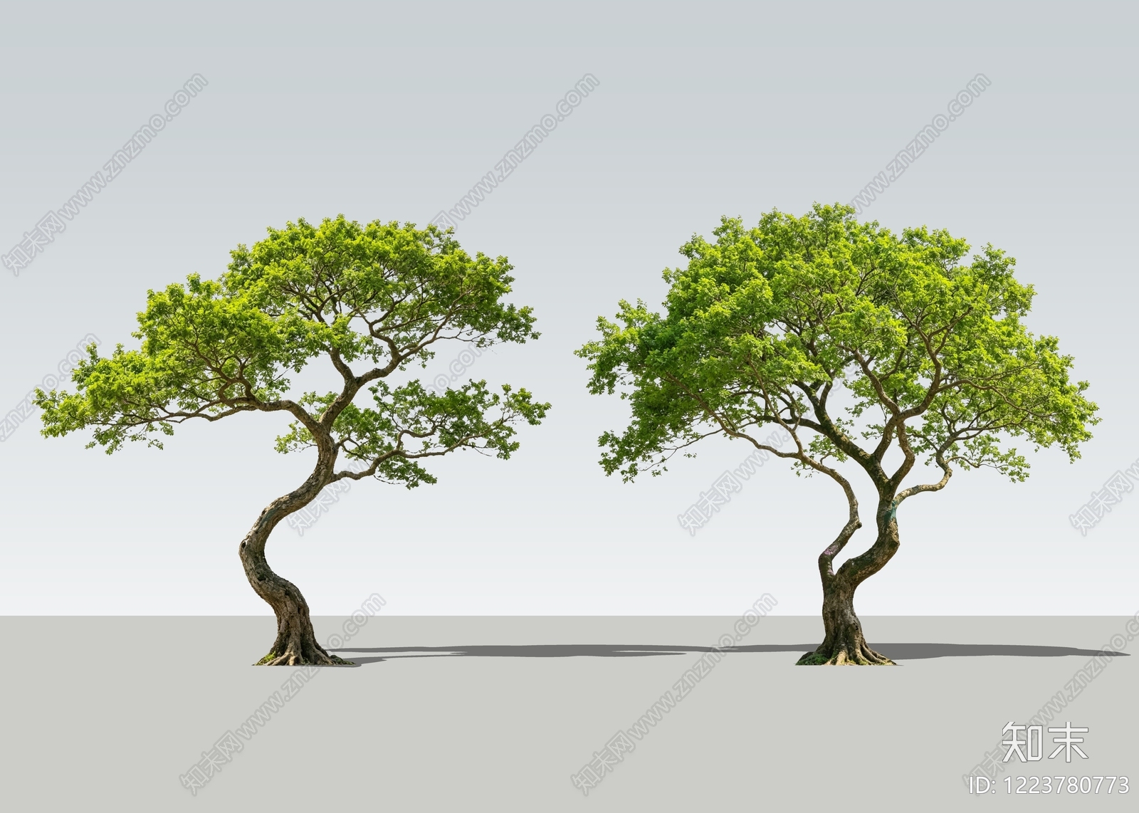 新中式景观乔木SU模型下载【ID:1223780773】
