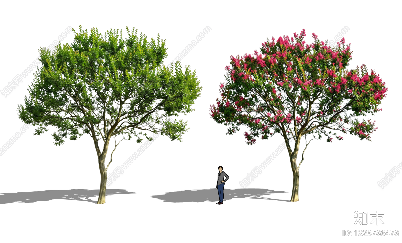 现代主义乔木SU模型下载【ID:1223786478】