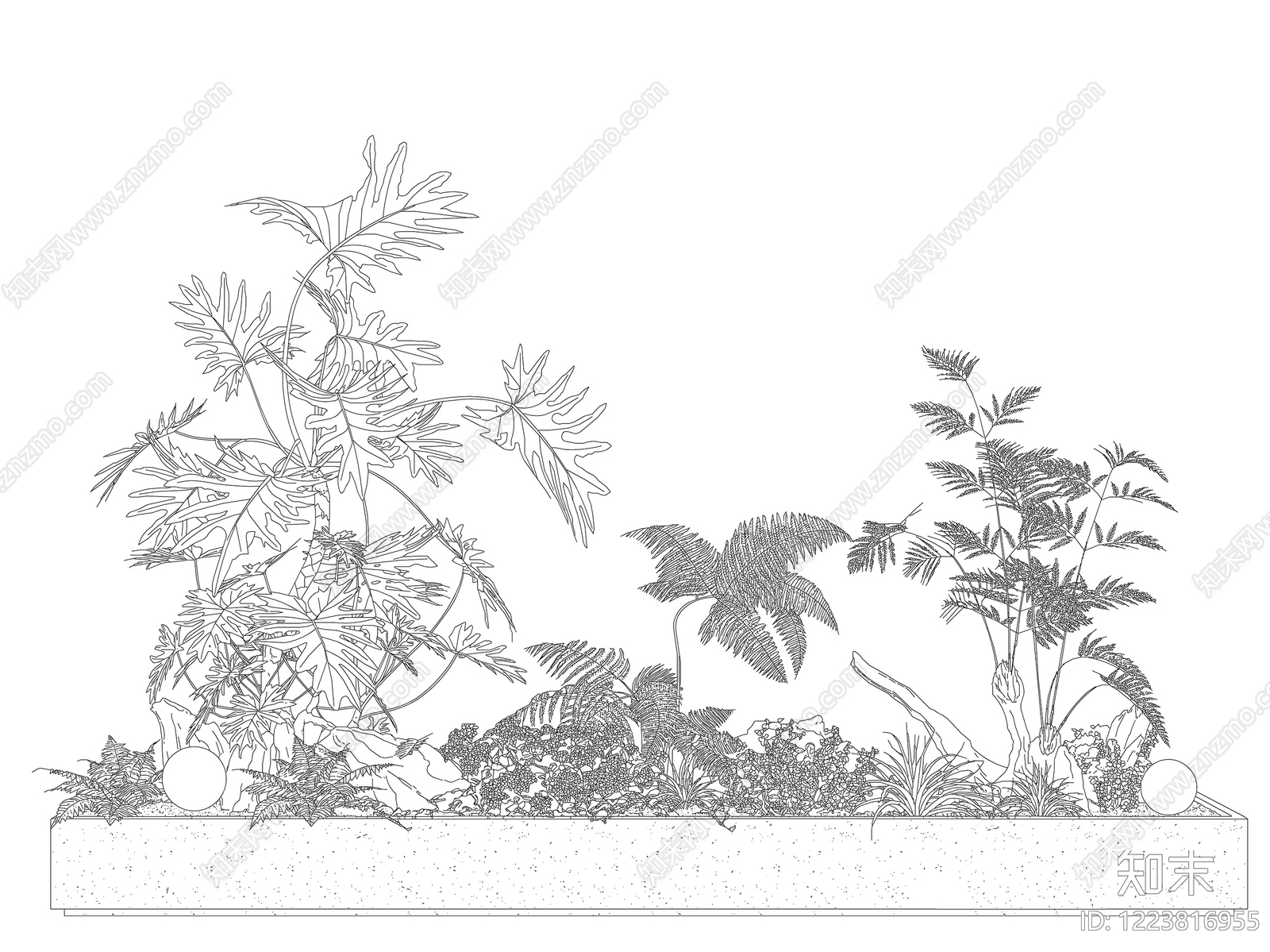 绿植CAD图纸