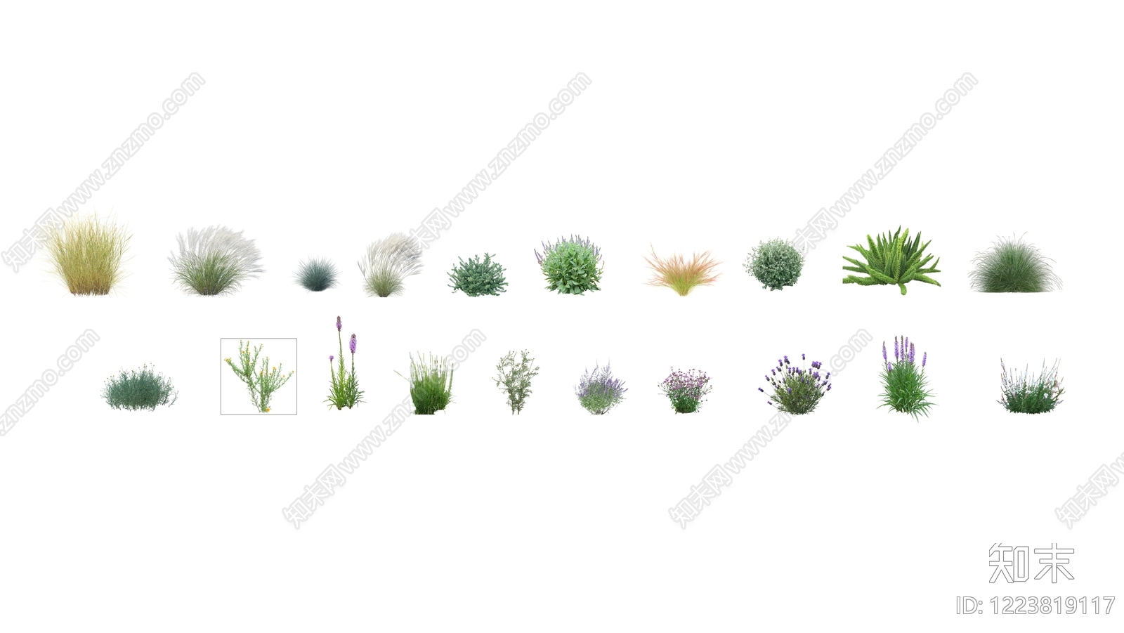 2D极简草本植物SU模型下载【ID:1223819117】