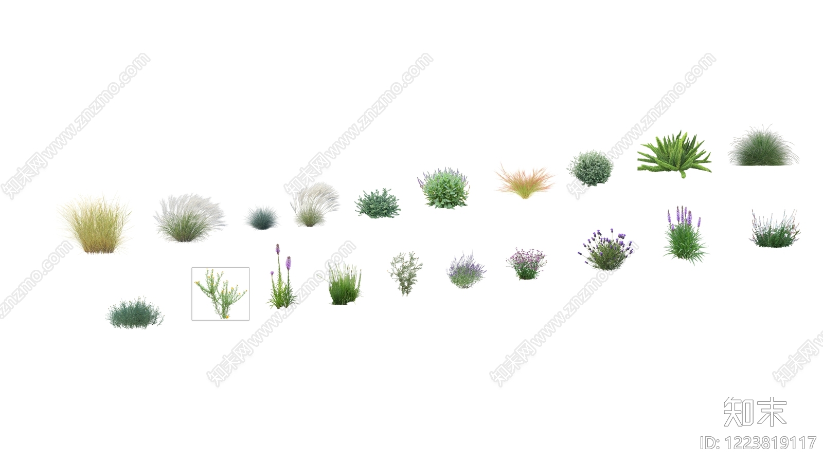 2D极简草本植物SU模型下载【ID:1223819117】