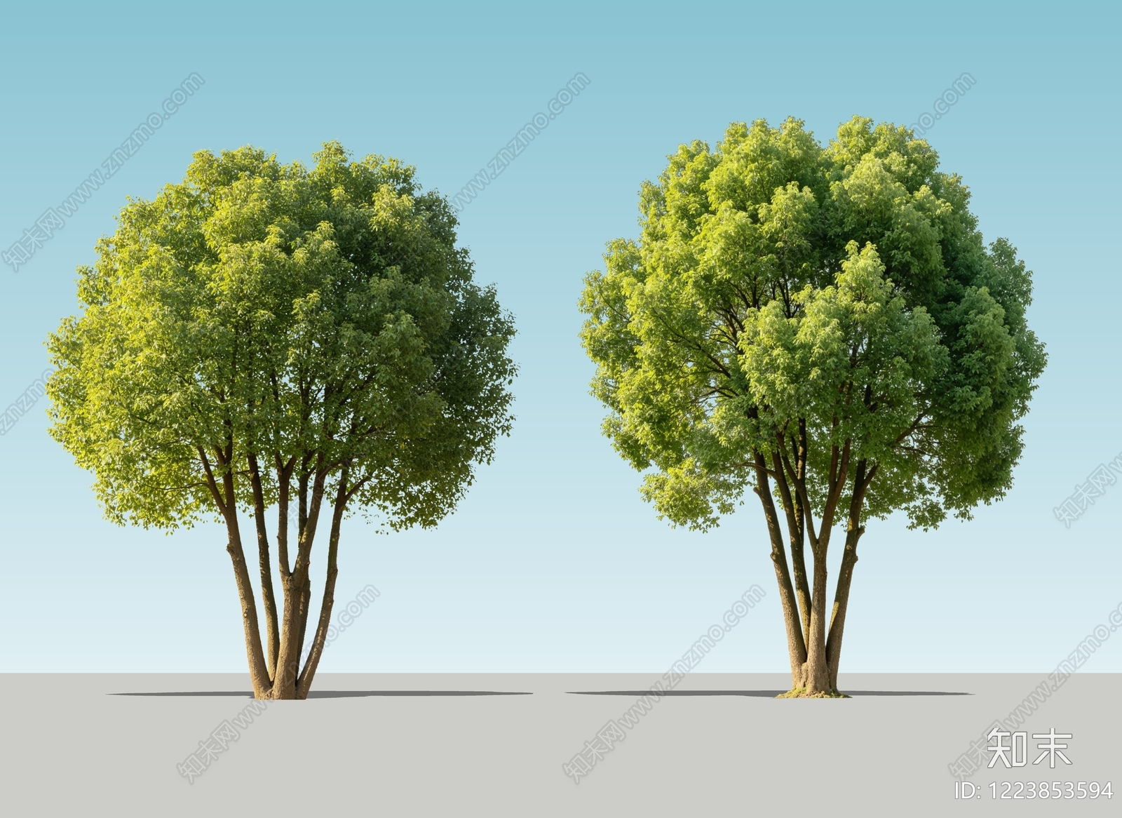 极简乔木SU模型下载【ID:1223853594】