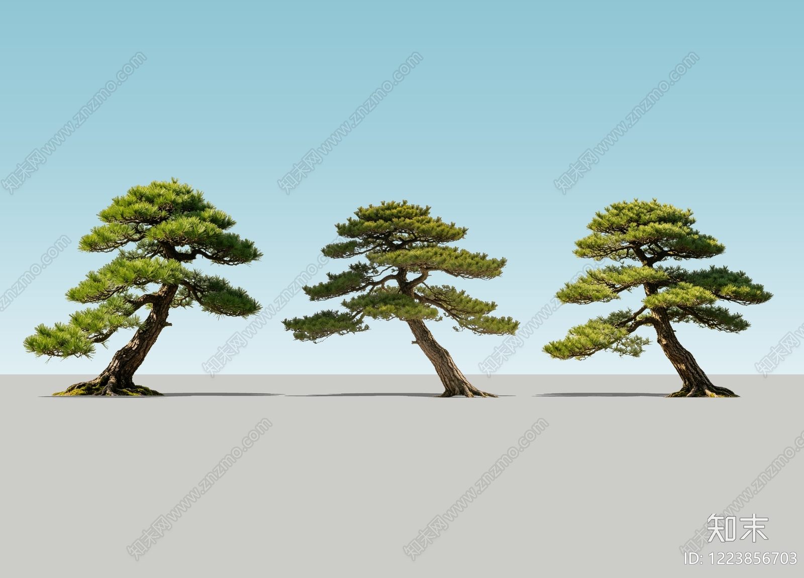 新中式景观乔木SU模型下载【ID:1223856703】