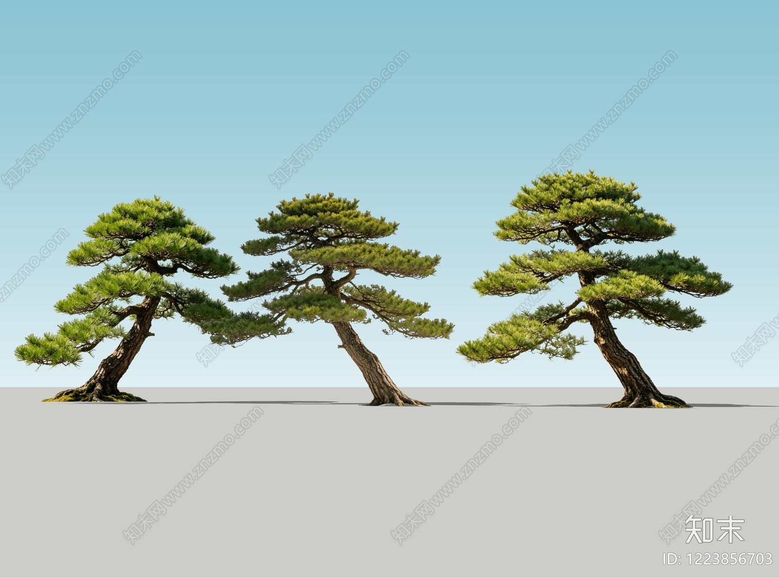 新中式景观乔木SU模型下载【ID:1223856703】