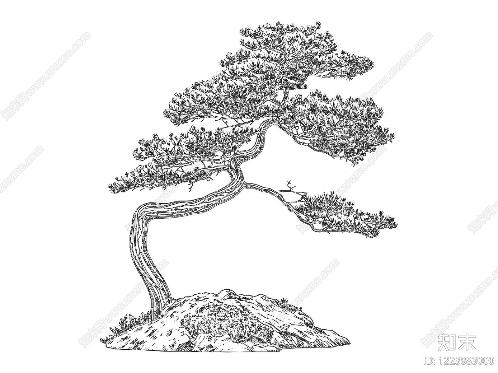 综合植物图库CAD图纸