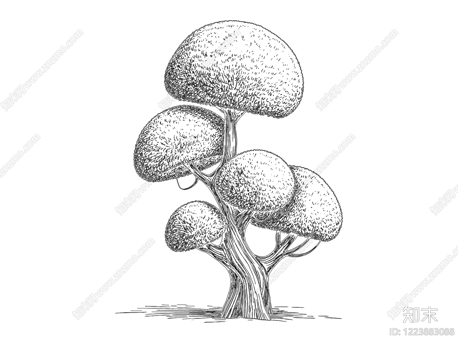 综合植物图库CAD图纸