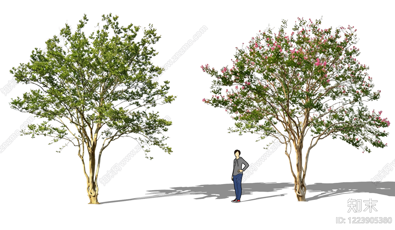 乔木SU模型下载【ID:1223905380】