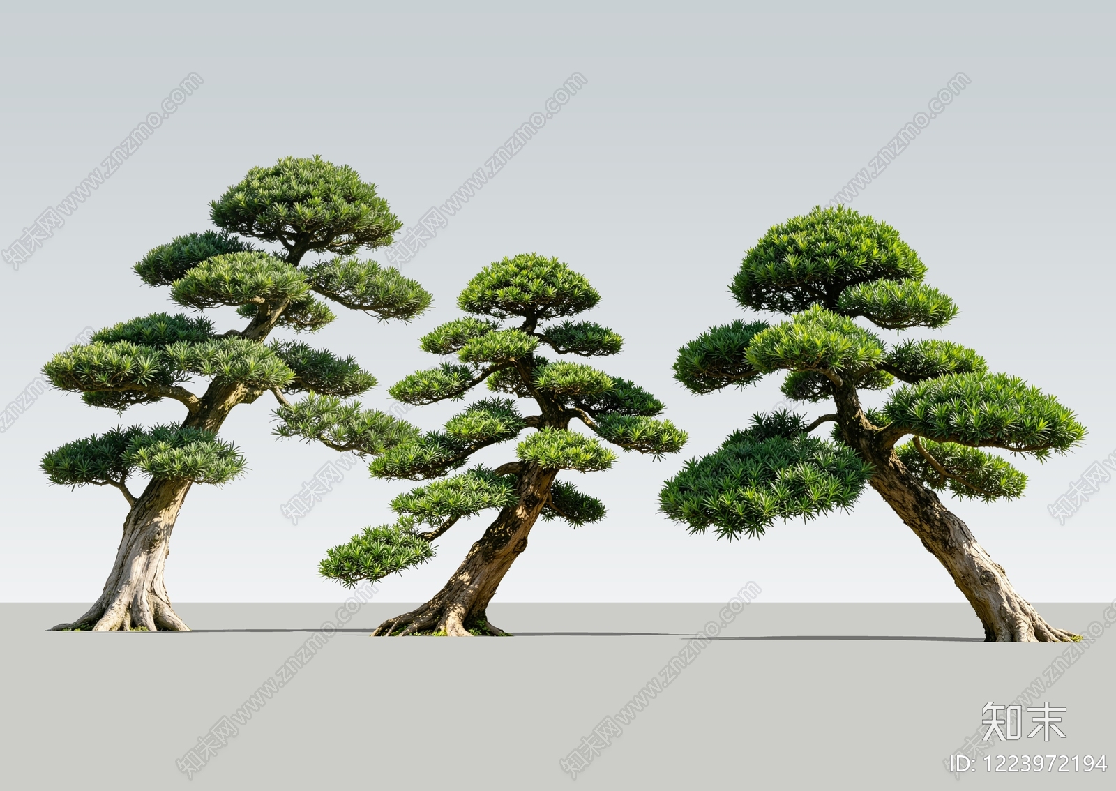 新中式景观乔木SU模型下载【ID:1223972194】