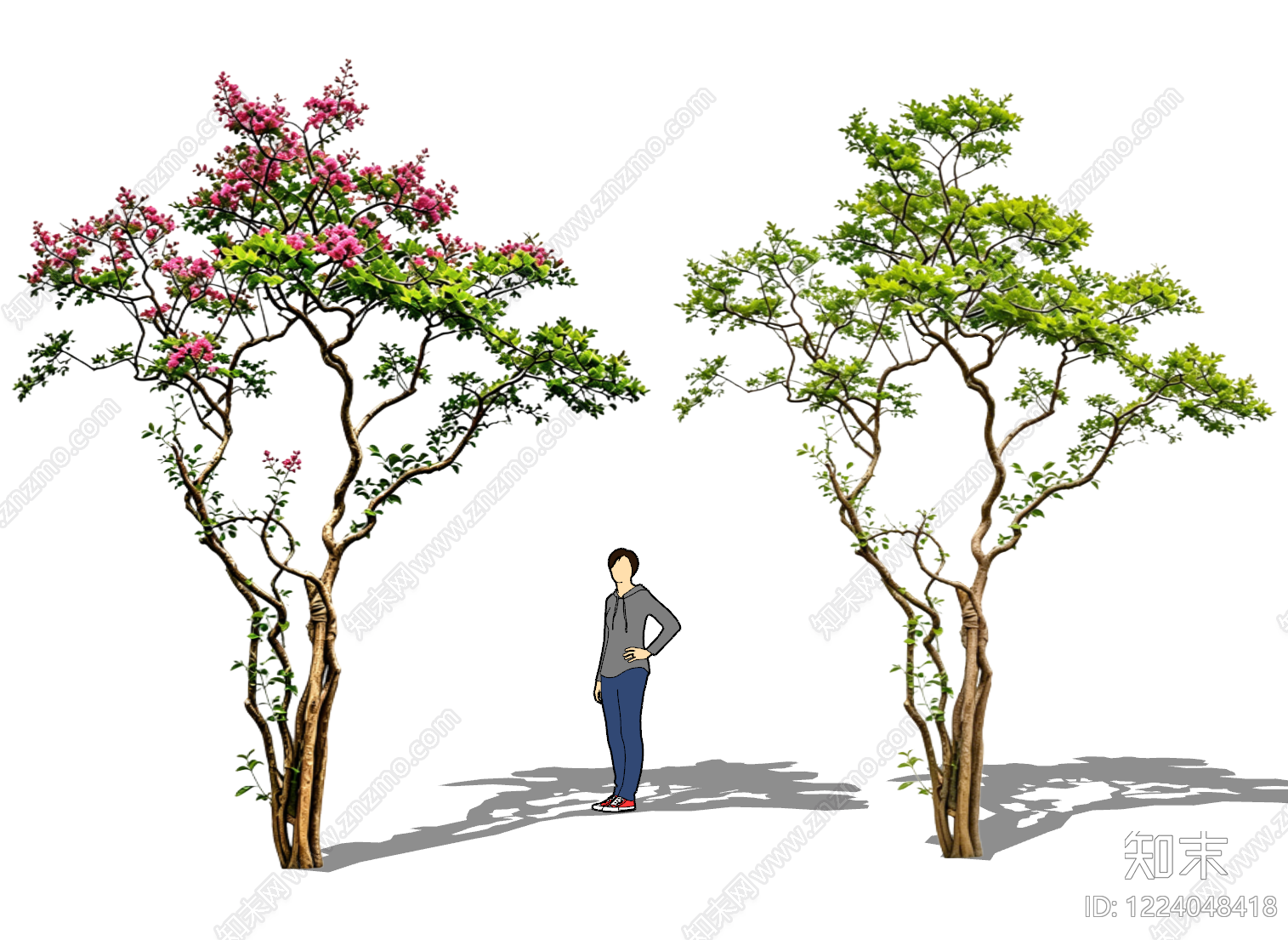 新中式景观乔木SU模型下载【ID:1224048418】