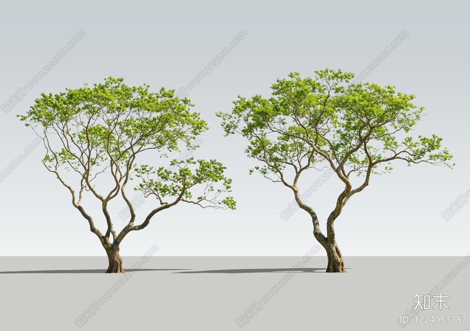 极简乔木SU模型下载【ID:1224053787】