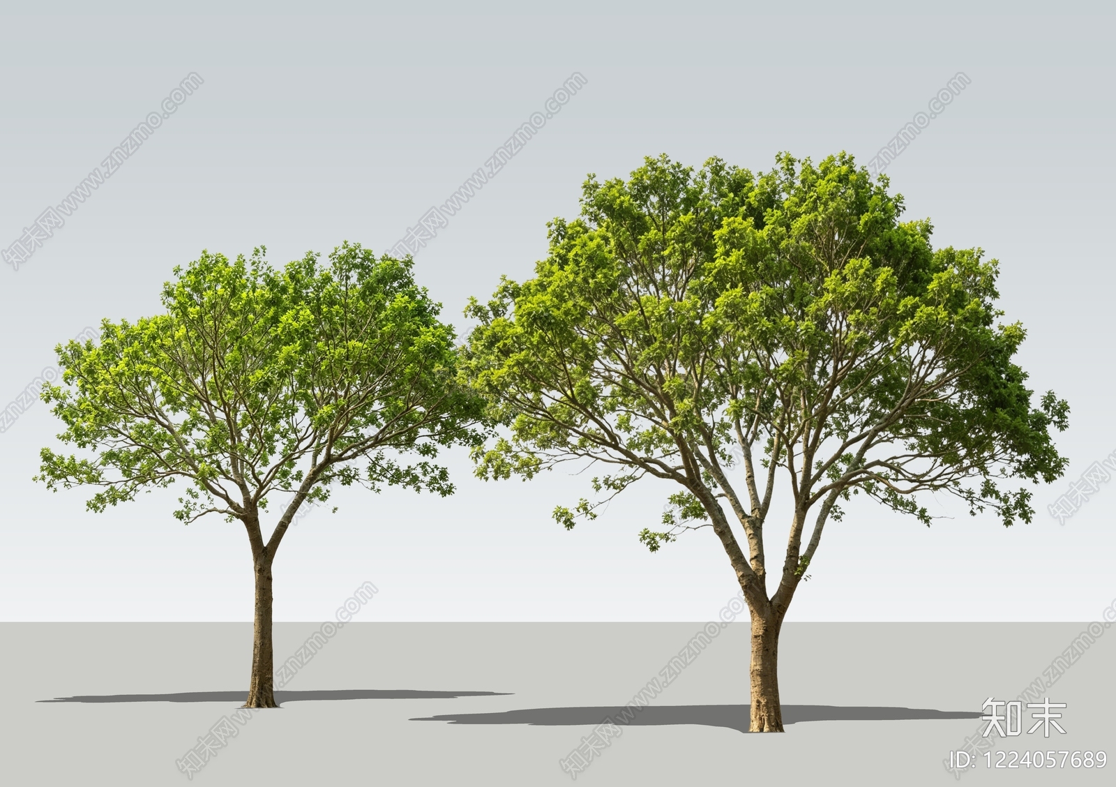 极简乔木SU模型下载【ID:1224057689】