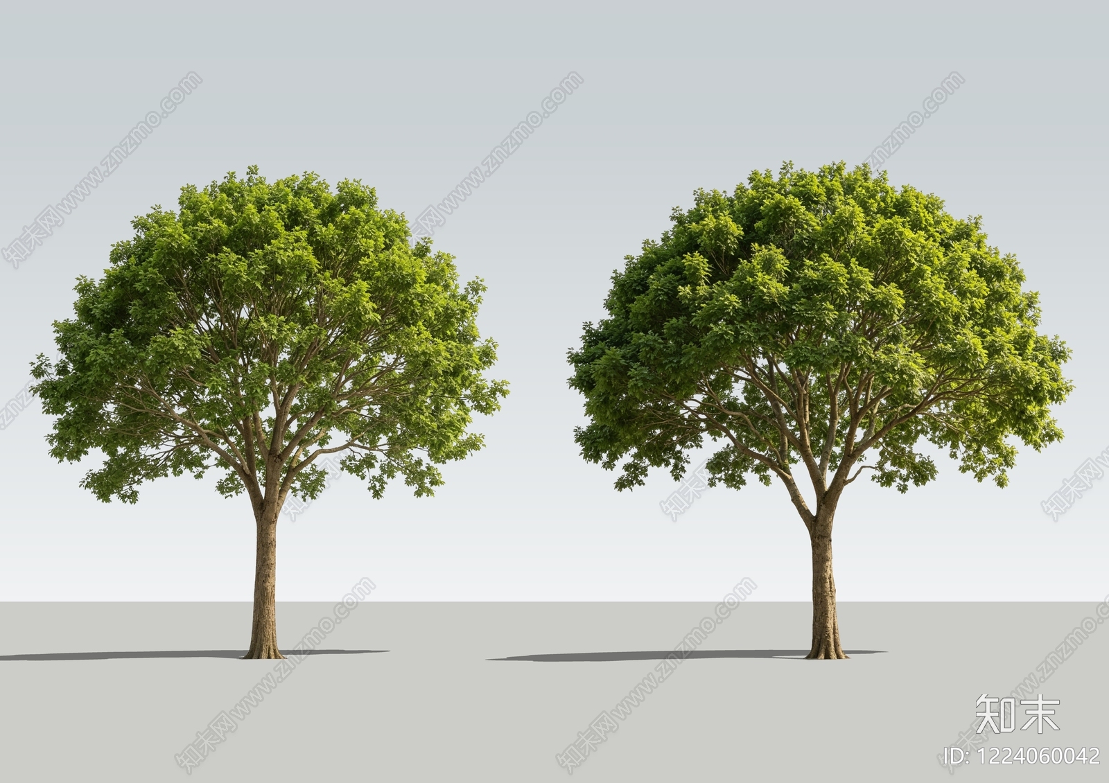 极简乔木SU模型下载【ID:1224060042】