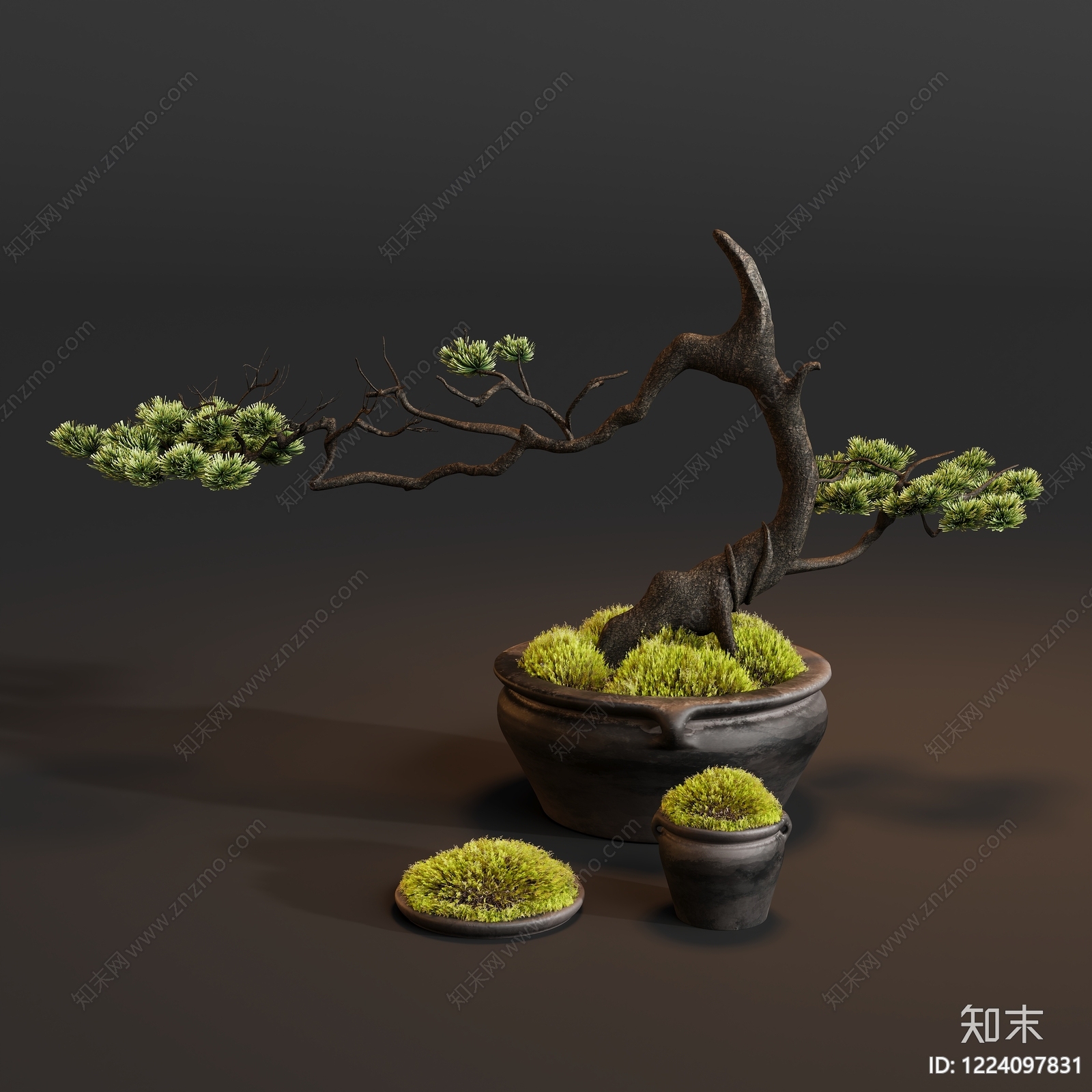 禅意盆景3D模型下载【ID:1224097831】