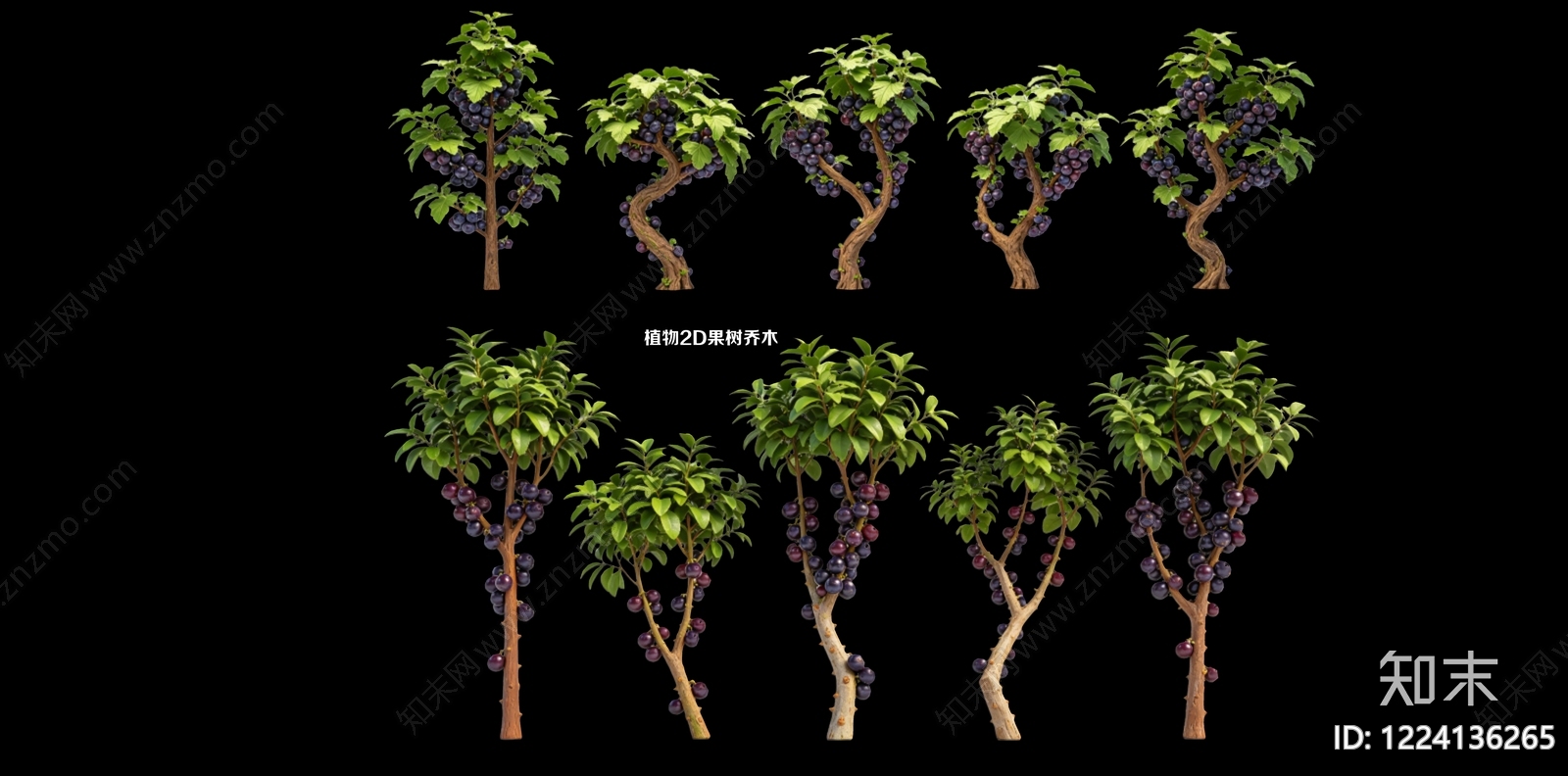 乔木SU模型下载【ID:1224136265】