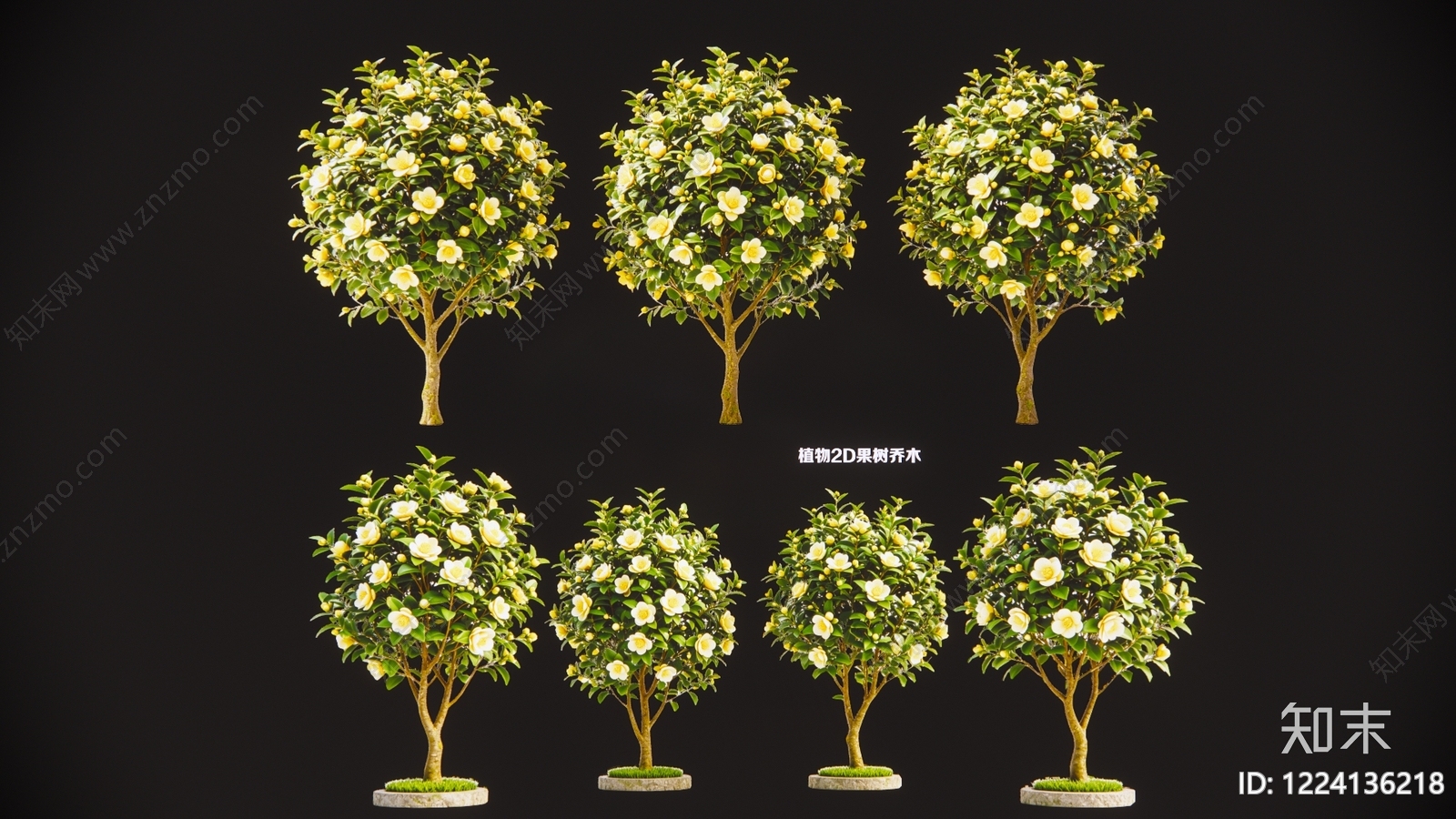 极简盆栽SU模型下载【ID:1224136218】