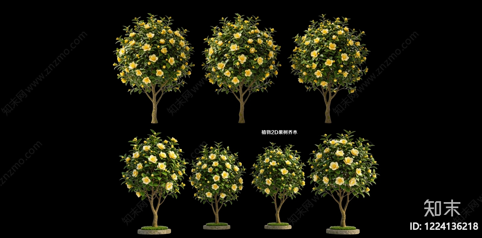 极简盆栽SU模型下载【ID:1224136218】