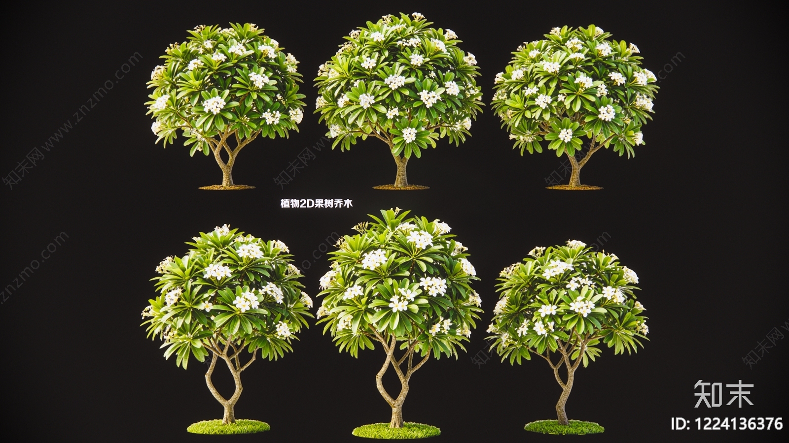 极简乔木SU模型下载【ID:1224136376】
