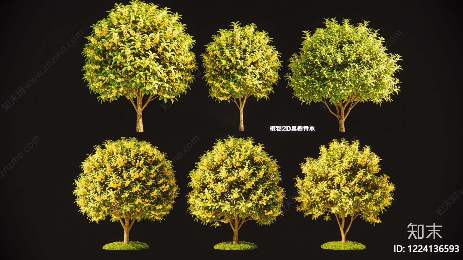 现代主义乔木SU模型下载【ID:1224136593】