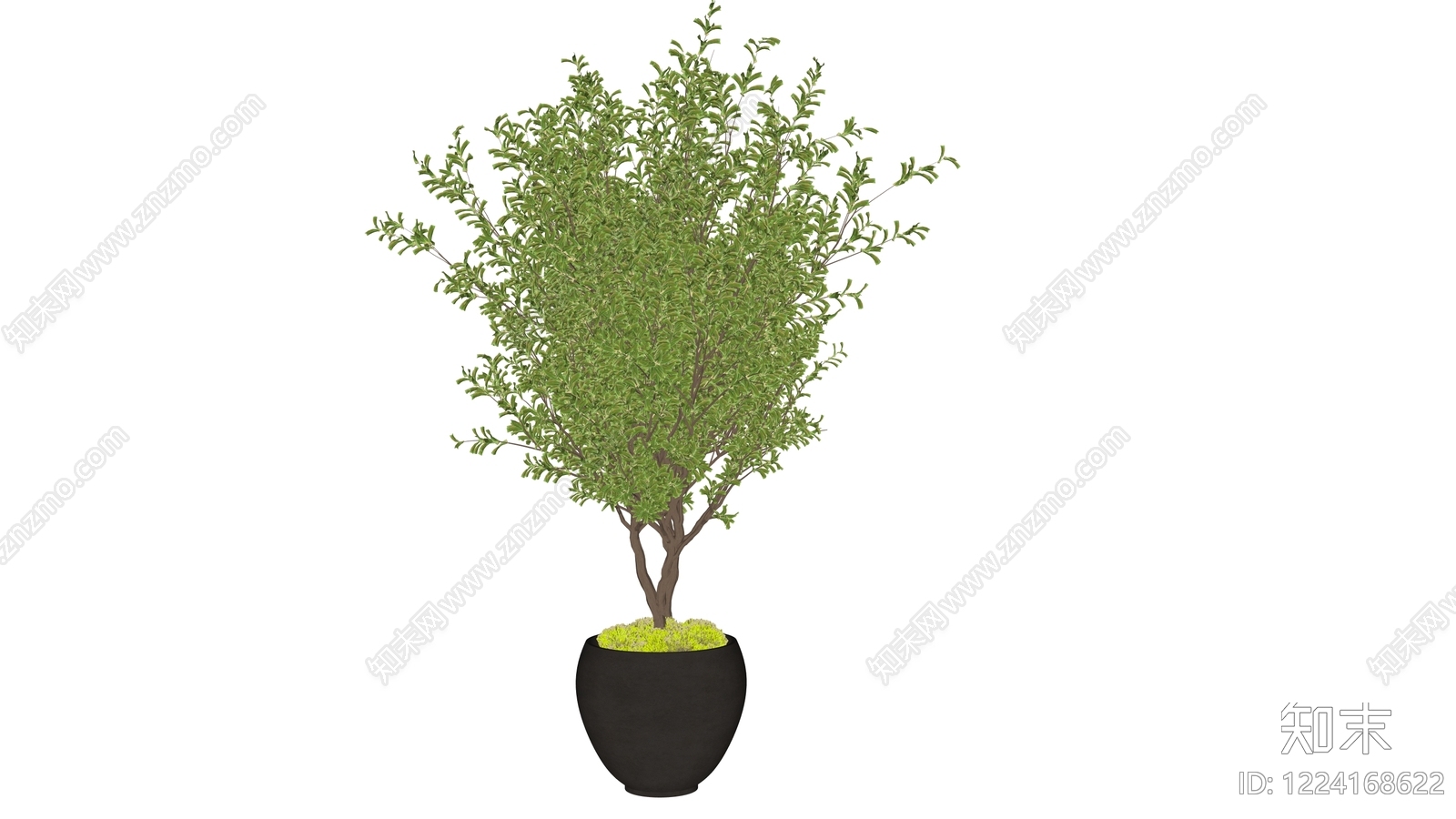 极简盆栽SU模型下载【ID:1224168622】