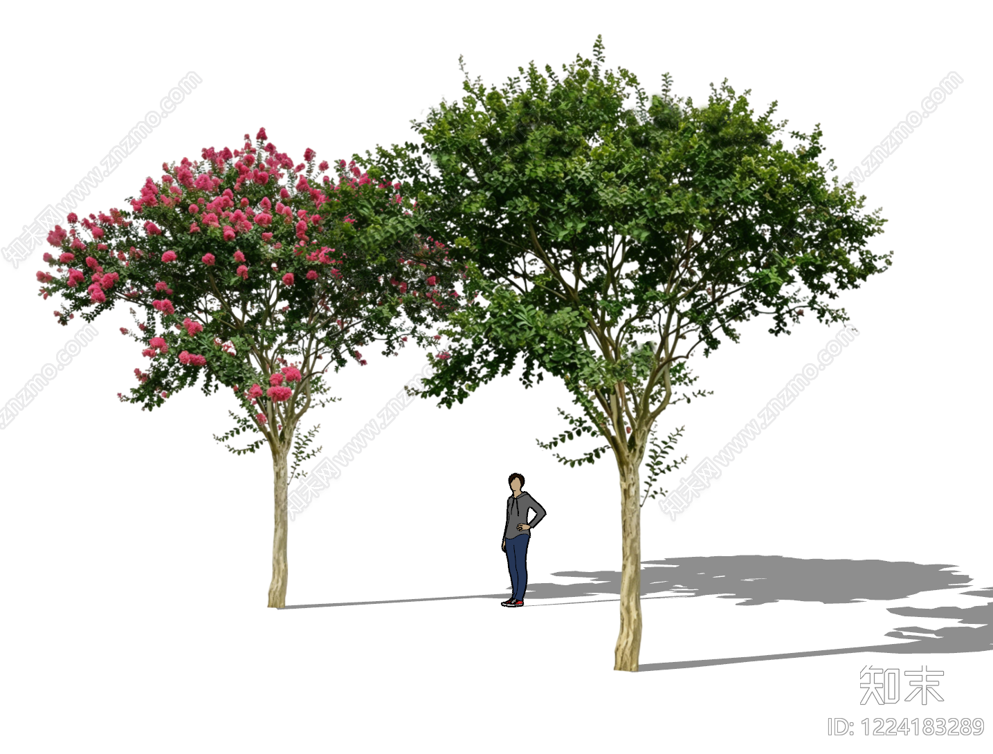 现代主义乔木SU模型下载【ID:1224183289】