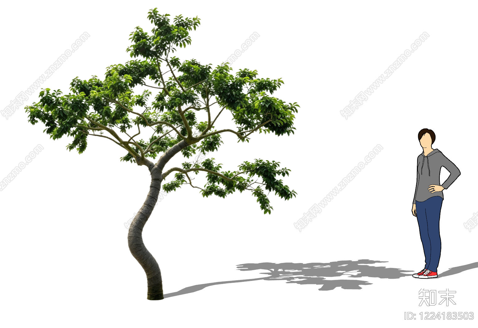 乔木SU模型下载【ID:1224183503】
