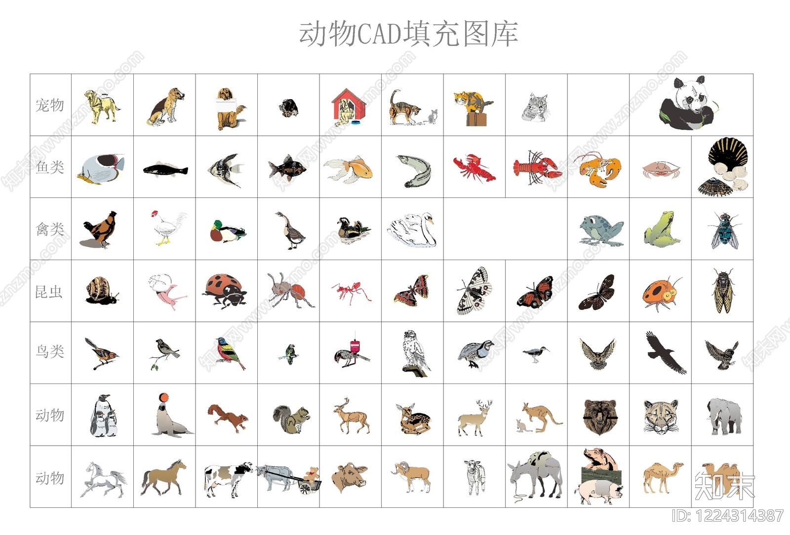 动物CAD图纸
