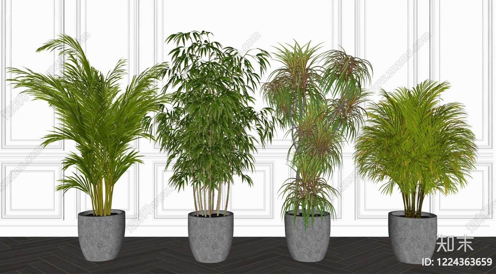 极简盆栽SU模型下载【ID:1224363659】