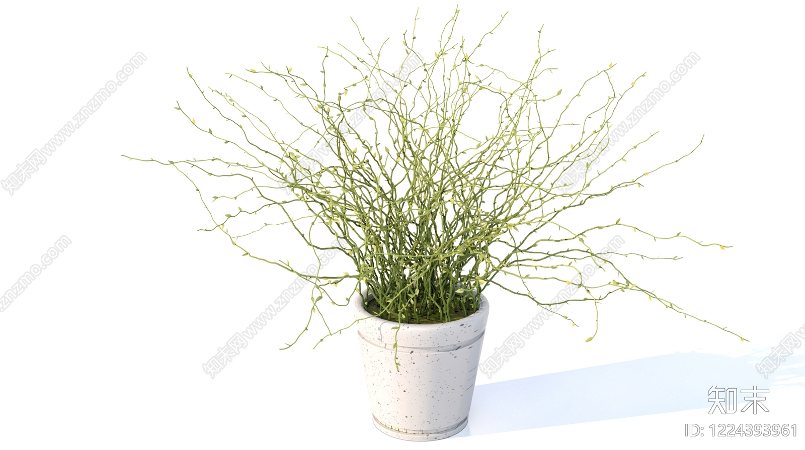 极简盆栽3D模型下载【ID:1224393961】