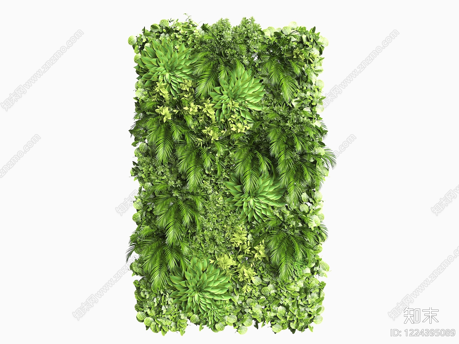 绿植墙3D模型渲染效果图