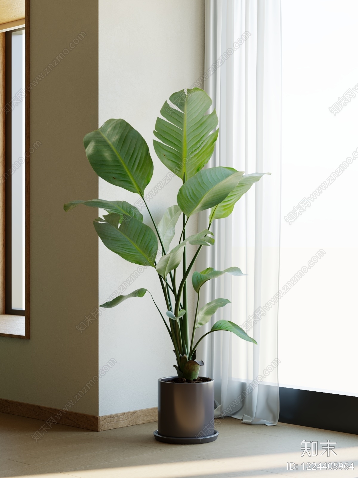 极简盆栽SU模型下载【ID:1224405964】