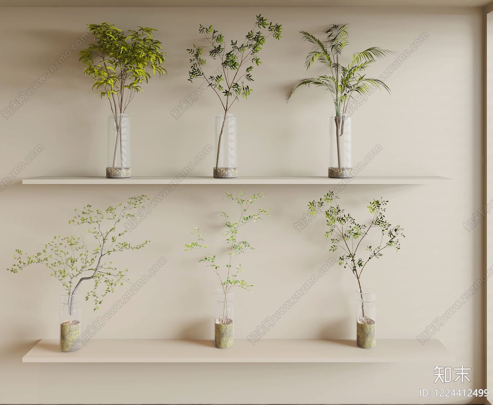 极简水生植物3D模型下载【ID:1224412499】