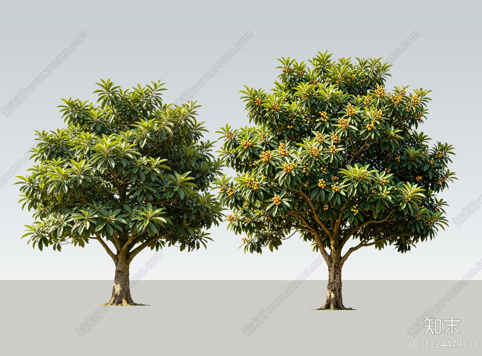 极简乔木SU模型下载【ID:1224479738】