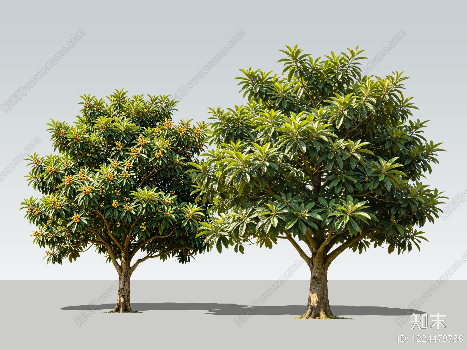 极简乔木SU模型下载【ID:1224479738】