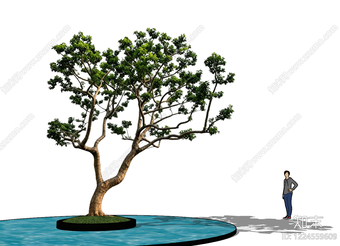 极简乔木SU模型下载【ID:1224559609】