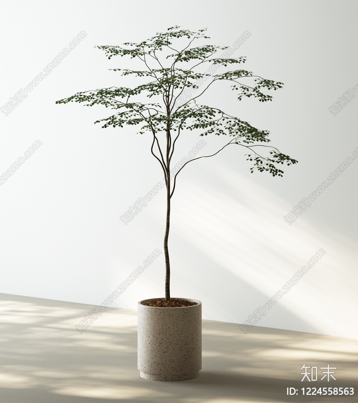 极简盆栽SU模型下载【ID:1224558563】