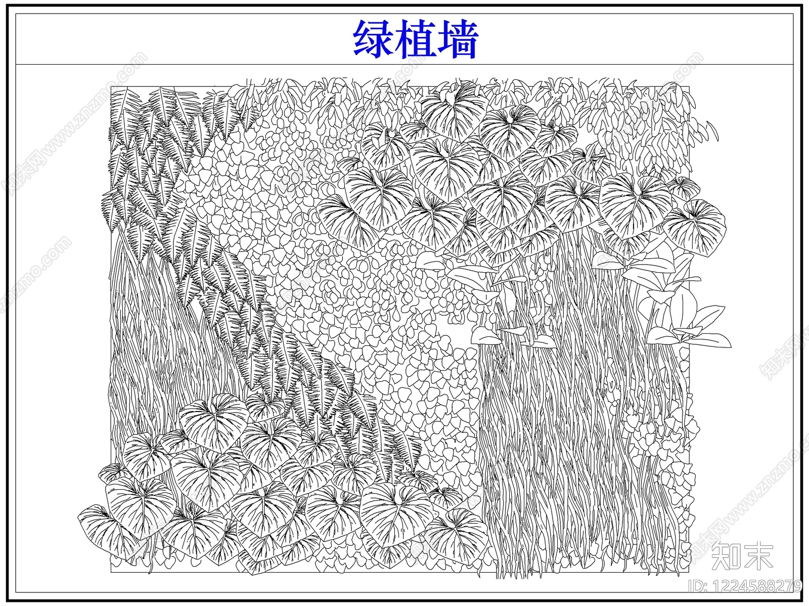 垂直绿化CAD图纸