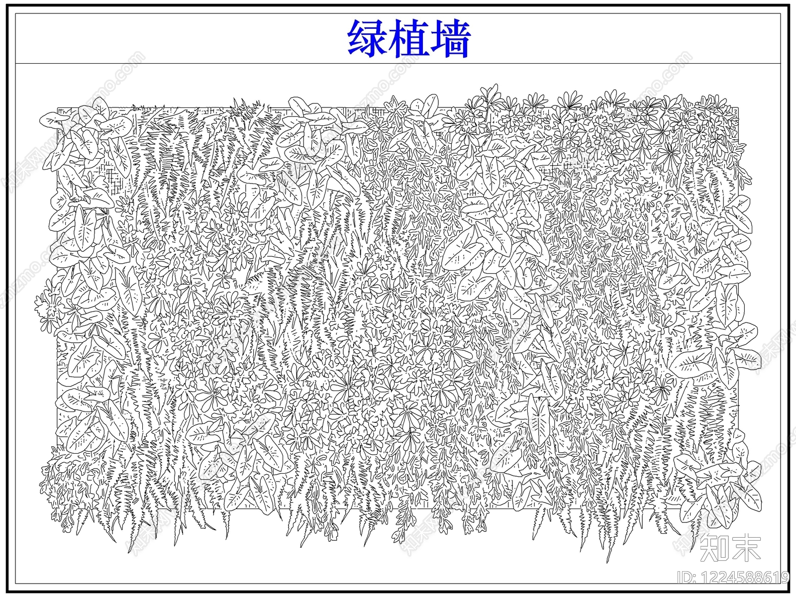 垂直绿化CAD图纸