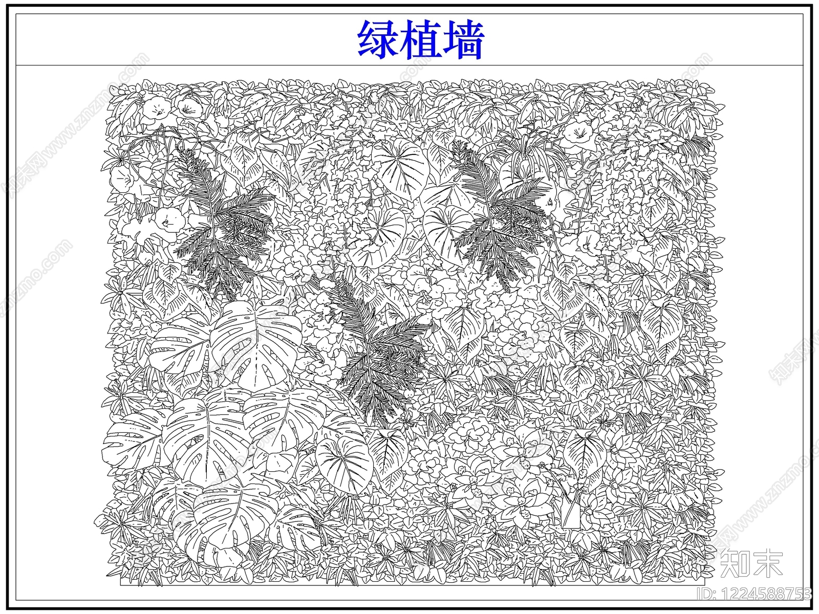 垂直绿化CAD图纸