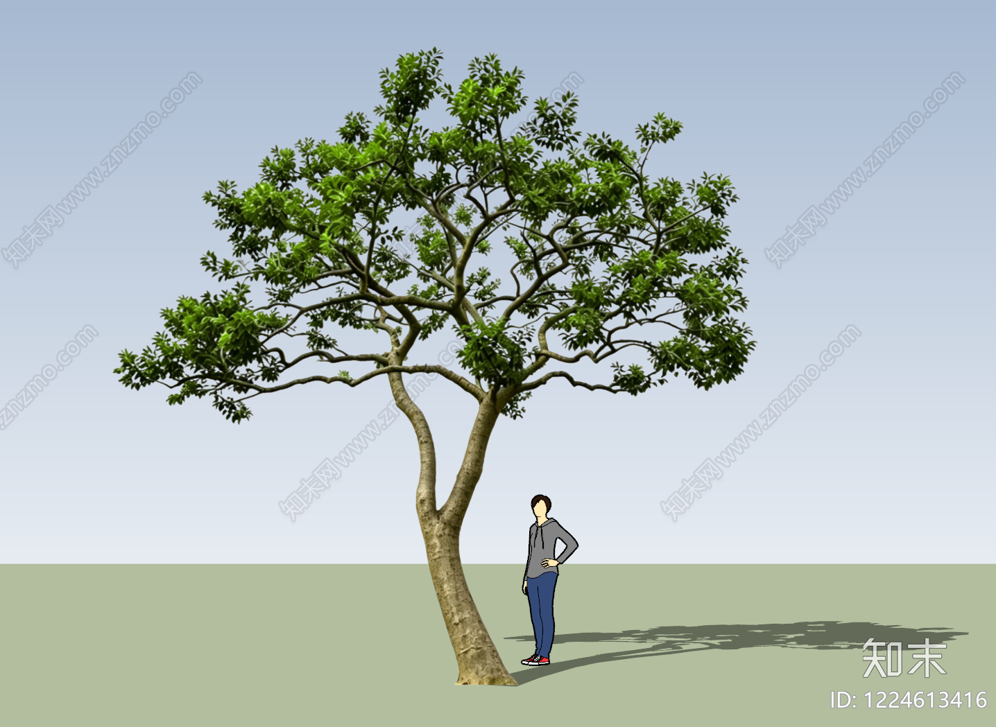现代乔木SU模型下载【ID:1224613416】