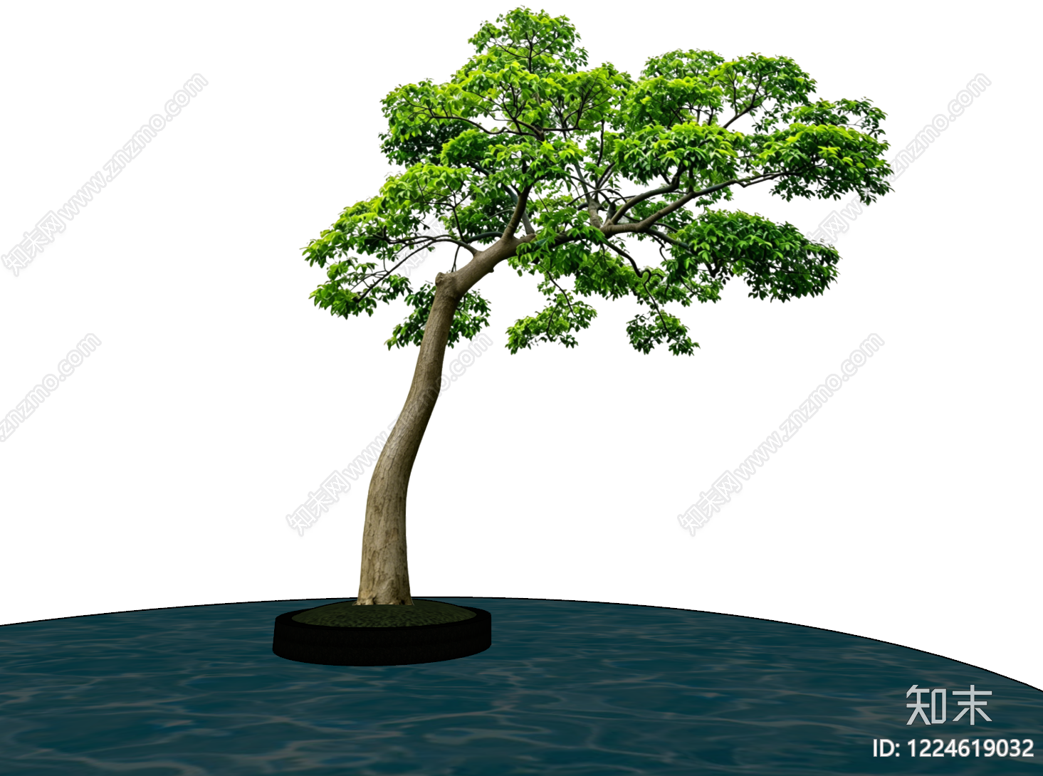 极简乔木SU模型下载【ID:1224619032】