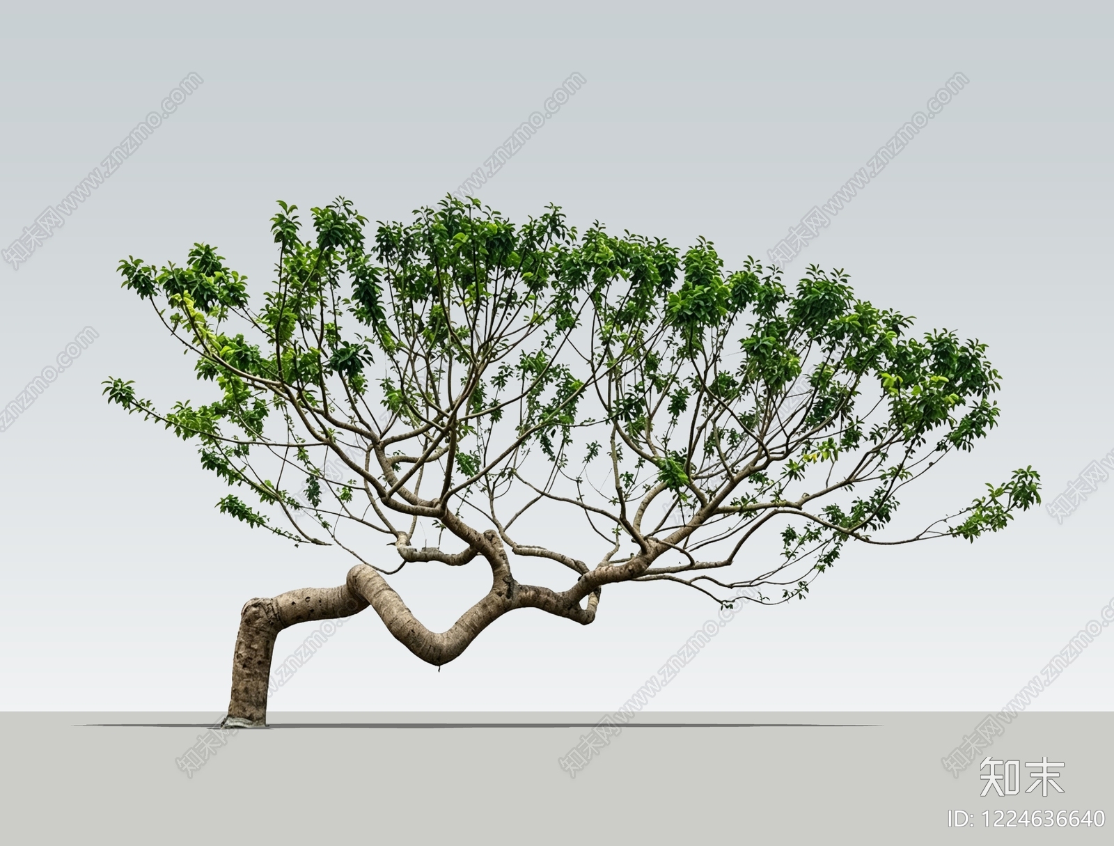 解构主义乔木SU模型下载【ID:1224636640】
