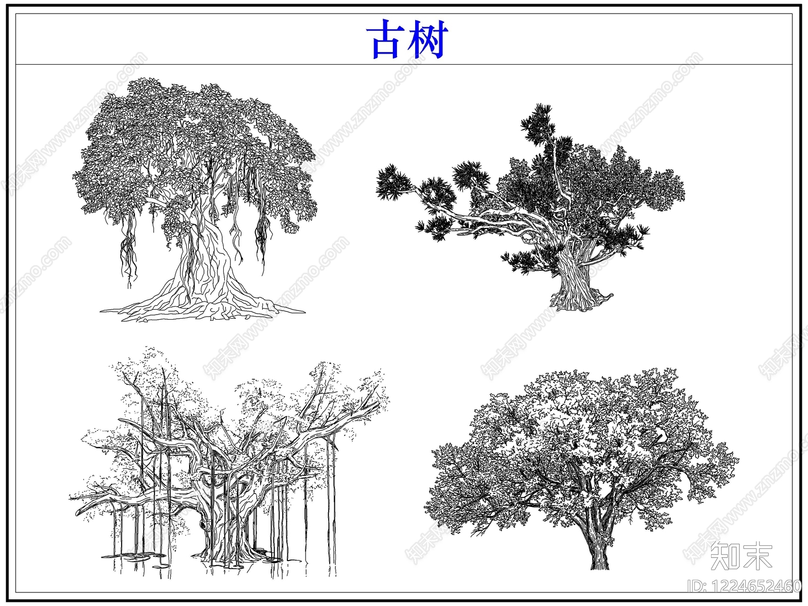 乔木种植CAD图纸