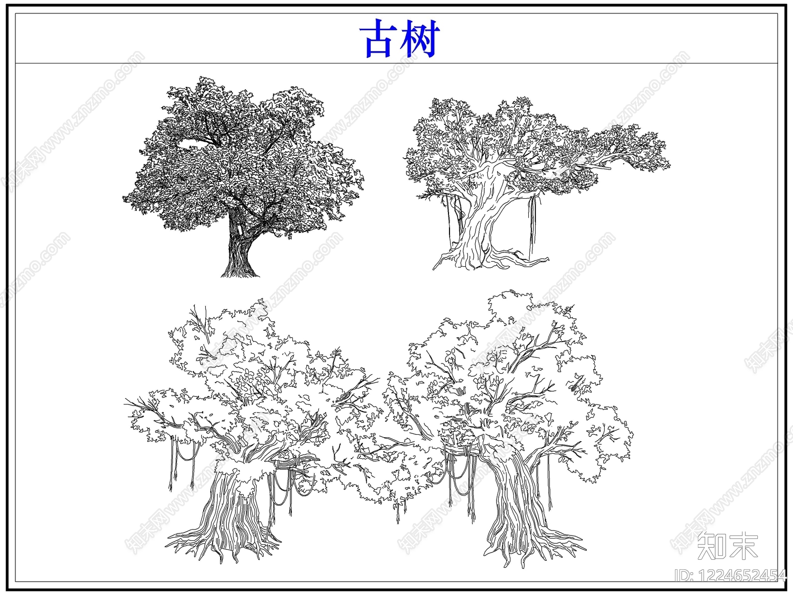 乔木种植CAD图纸