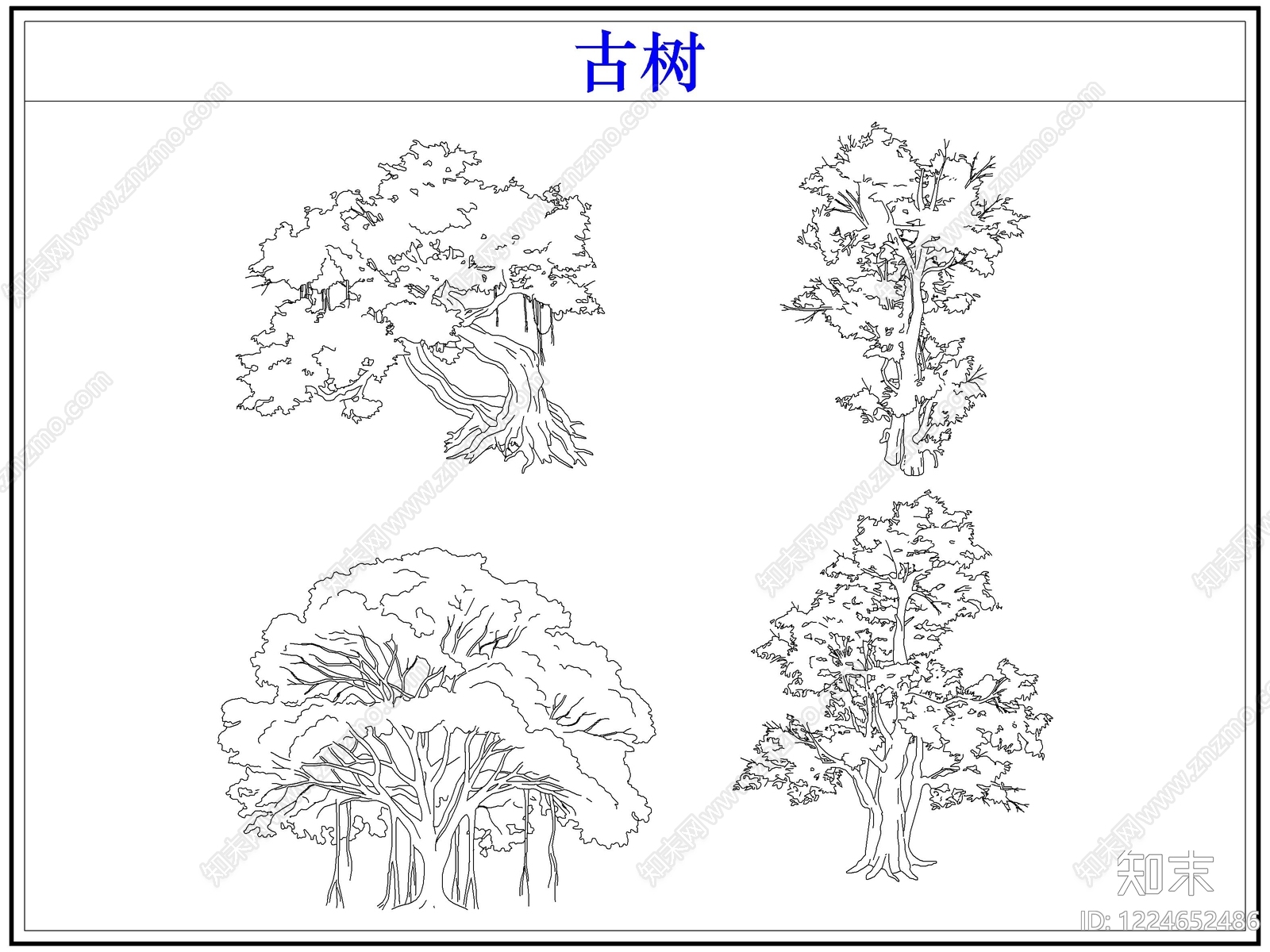 乔木种植CAD图纸