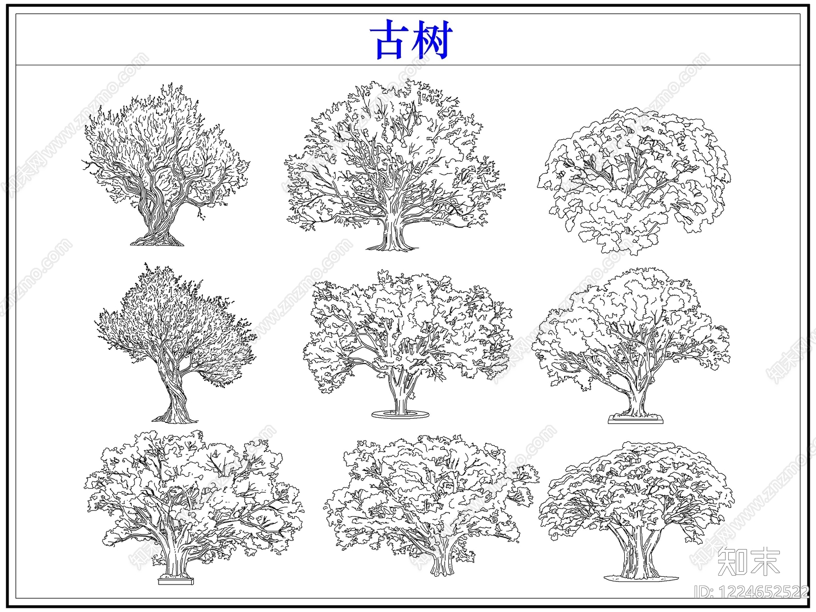 乔木种植CAD图纸
